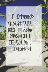 《中国少年先锋队队徽》国家标准6月1日正式实施，一图读懂