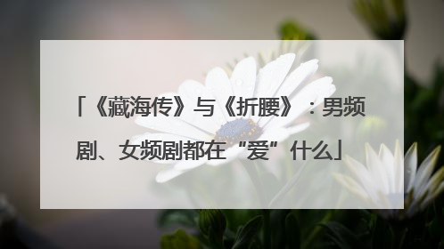 《藏海传》与《折腰》：男频剧、女频剧都在“爱”什么