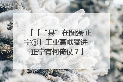 「“县”在图强·正宁①」工业高歌猛进 正宁有何倚仗？