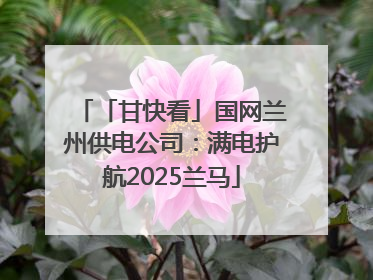 「甘快看」国网兰州供电公司：满电护航2025兰马