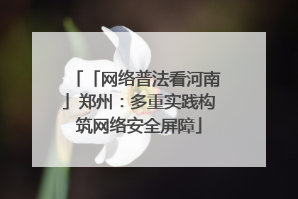 「网络普法看河南」郑州：多重实践构筑网络安全屏障