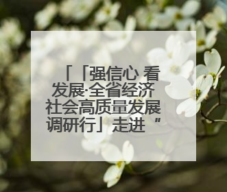「强信心 看发展·全省经济社会高质量发展调研行」走进“中华第一庙” 寻根伏羲 祭祖龙城