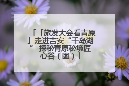 「旅发大会看青原」走进吉安“千岛湖” 探秘青原秘境匠心谷（图）