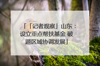 「记者观察」山东：设立重点帮扶基金 破题区域协调发展
