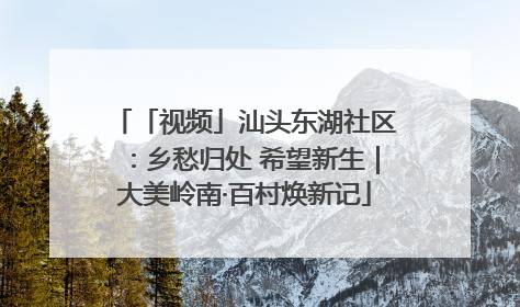 「视频」汕头东湖社区：乡愁归处 希望新生｜大美岭南·百村焕新记