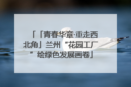 「青春华章·重走西北角」兰州“花园工厂”绘绿色发展画卷