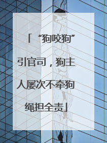 “狗咬狗”引官司，狗主人屡次不牵狗绳担全责