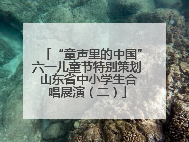 “童声里的中国”六一儿童节特别策划 山东省中小学生合唱展演（二）