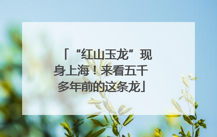 “红山玉龙”现身上海！来看五千多年前的这条龙