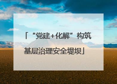 “党建+化解”构筑基层治理安全堤坝