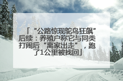 “公路惊现鸵鸟狂飙”后续：养殖户称它与同类打闹后“离家出走”，跑了1公里被找回