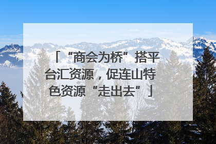 “商会为桥”搭平台汇资源，促连山特色资源“走出去”