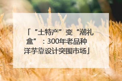 “土特产”变“潮礼盒”：300年老品种洋芋靠设计突围市场