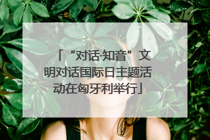 “对话·知音”文明对话国际日主题活动在匈牙利举行