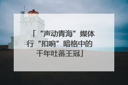 “声动青海”媒体行“扣响”暗格中的千年吐蕃王冠