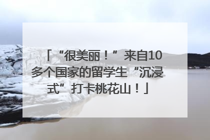 “很美丽！”来自10多个国家的留学生“沉浸式”打卡桃花山！
