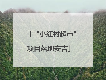 “小红村超市”项目落地安吉