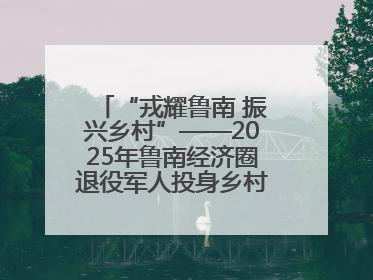 “戎耀鲁南 振兴乡村”——2025年鲁南经济圈退役军人投身乡村振兴成果展销会盛大启幕