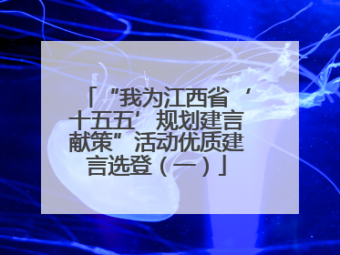 “我为江西省‘十五五’规划建言献策”活动优质建言选登（一）