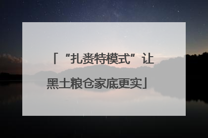 “扎赉特模式”让黑土粮仓家底更实