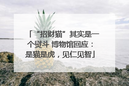“招财猫”其实是一个熨斗 博物馆回应：是猫是虎，见仁见智