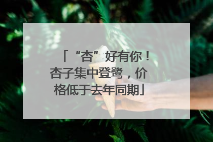 “杏”好有你！杏子集中登鹭，价格低于去年同期