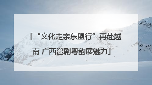 “文化走亲东盟行”再赴越南 广西邕剧粤韵展魅力