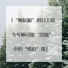 “梅姑娘”明日上岗 今年她可能“出镜”少但“戏份”重