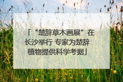 “楚辞草木画展”在长沙举行 专家为楚辞植物提供科学考据