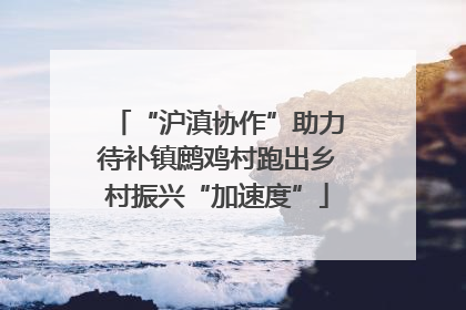 “沪滇协作”助力待补镇鹧鸡村跑出乡村振兴“加速度”