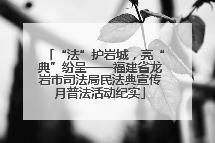 “法”护岩城，亮“典”纷呈——福建省龙岩市司法局民法典宣传月普法活动纪实