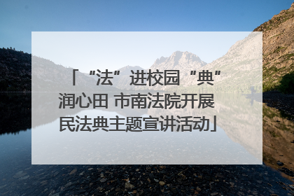 “法”进校园“典”润心田 市南法院开展民法典主题宣讲活动