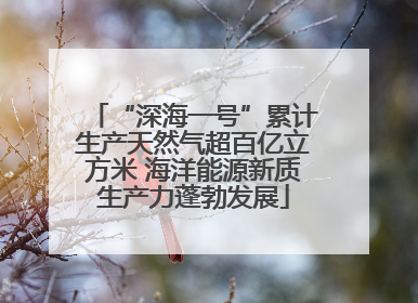 “深海一号”累计生产天然气超百亿立方米 海洋能源新质生产力蓬勃发展