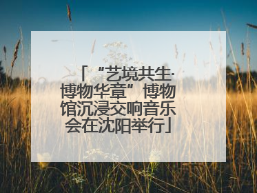 “艺境共生·博物华章”博物馆沉浸交响音乐会在沈阳举行
