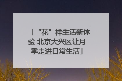 “花”样生活新体验 北京大兴区让月季走进日常生活