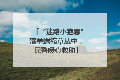 “迷路小狍崽”落单蜷缩草丛中，民警暖心救助
