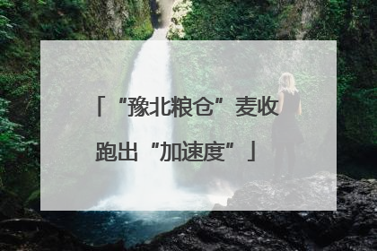 “豫北粮仓”麦收跑出“加速度”