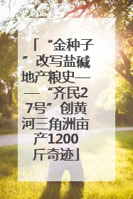 “金种子”改写盐碱地产粮史——“齐民27号”创黄河三角洲亩产1200斤奇迹
