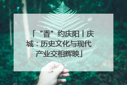 “香”约庆阳丨庆城：历史文化与现代产业交相辉映