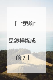 “黑豹”是怎样炼成的？