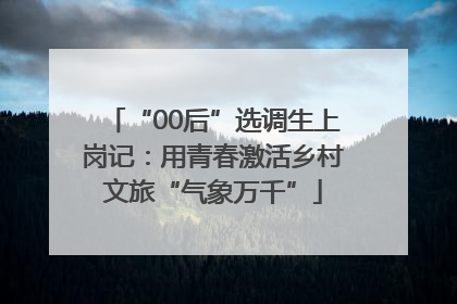 “00后”选调生上岗记：用青春激活乡村文旅“气象万千”