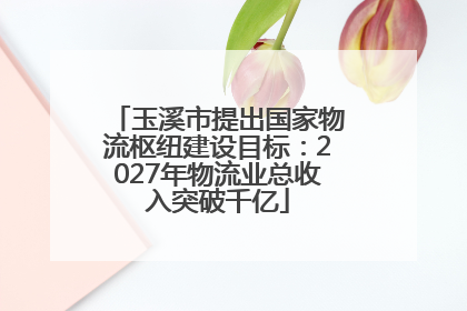 玉溪市提出国家物流枢纽建设目标：2027年物流业总收入突破千亿