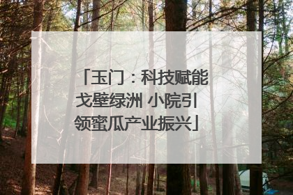 玉门：科技赋能戈壁绿洲 小院引领蜜瓜产业振兴