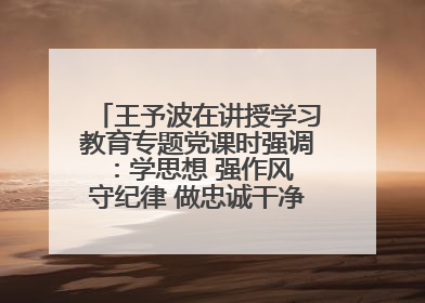 王予波在讲授学习教育专题党课时强调：学思想 强作风 守纪律 做忠诚干净担当的共产党员