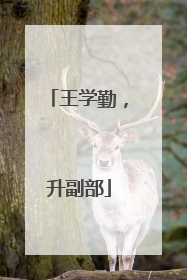 王学勤，升副部