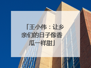 王小伟：让乡亲们的日子像香瓜一样甜