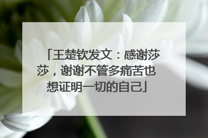 王楚钦发文：感谢莎莎，谢谢不管多痛苦也想证明一切的自己