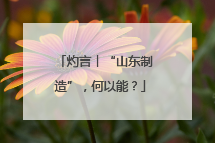灼言丨“山东制造”，何以能？