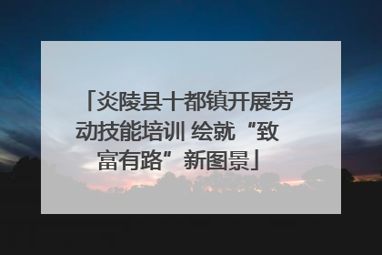 炎陵县十都镇开展劳动技能培训 绘就“致富有路”新图景