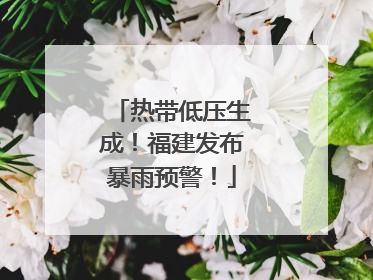 热带低压生成！福建发布暴雨预警！